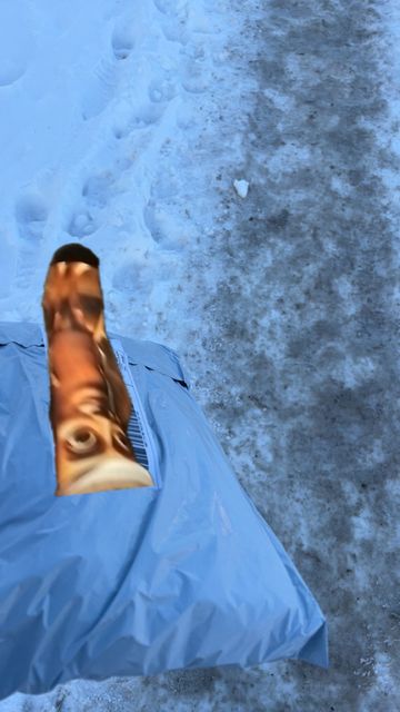 Pirkėjo nuotrauka